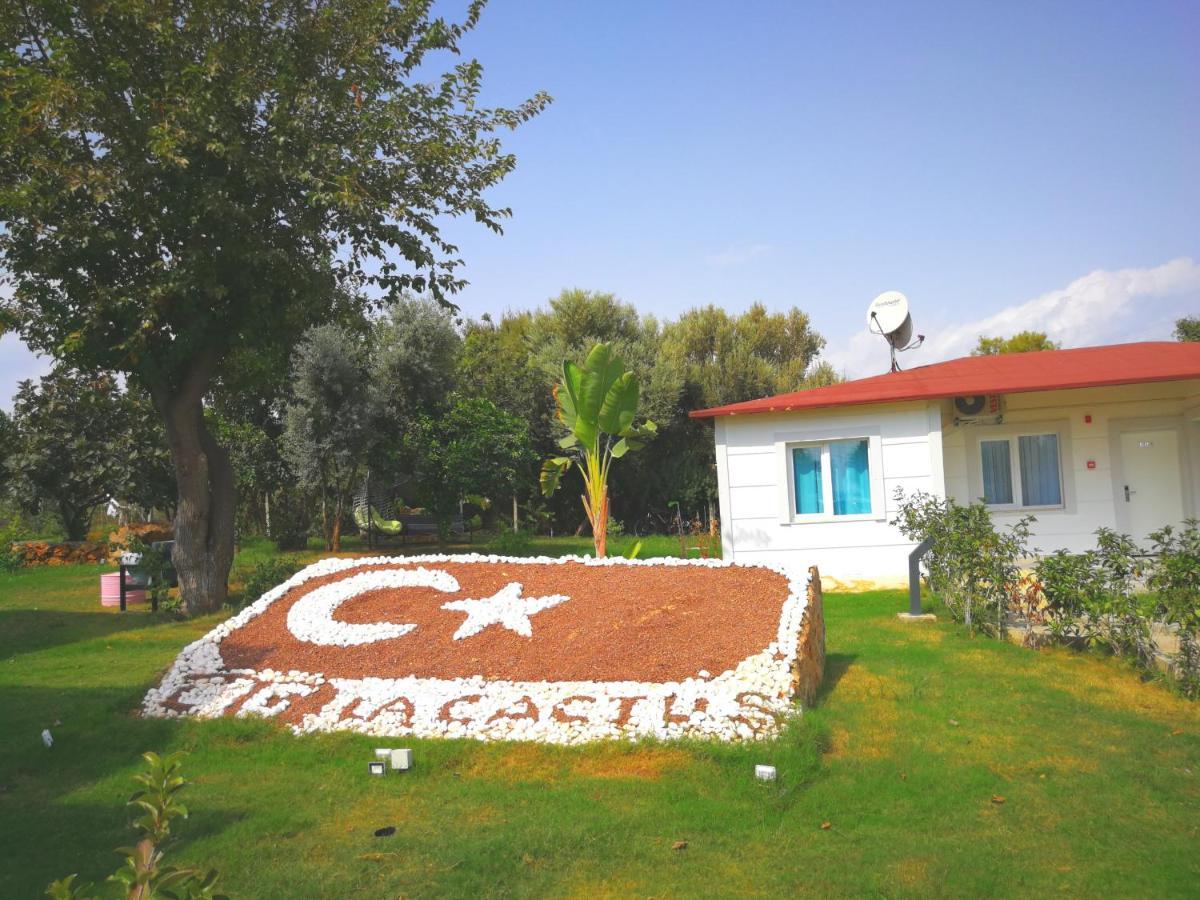 La Cactus Butik Otel Antalya Dış mekan fotoğraf